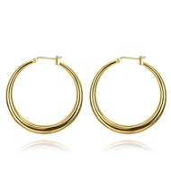 Picture of Amazing Big Casual Big Hoop Earrings