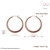 Picture of Attractive Rose Gold Plated Casual Big Hoop Earrings For Your Occasions