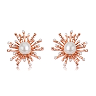 Picture of Zinc Alloy Rose Gold Plated Stud Earrings in Flattering Style