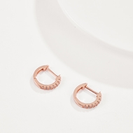 Picture of Fashion Rose Gold Plated Hoop Earrings with Worldwide Shipping