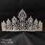 Show details for Unusual Casual Platinum Plated Crown