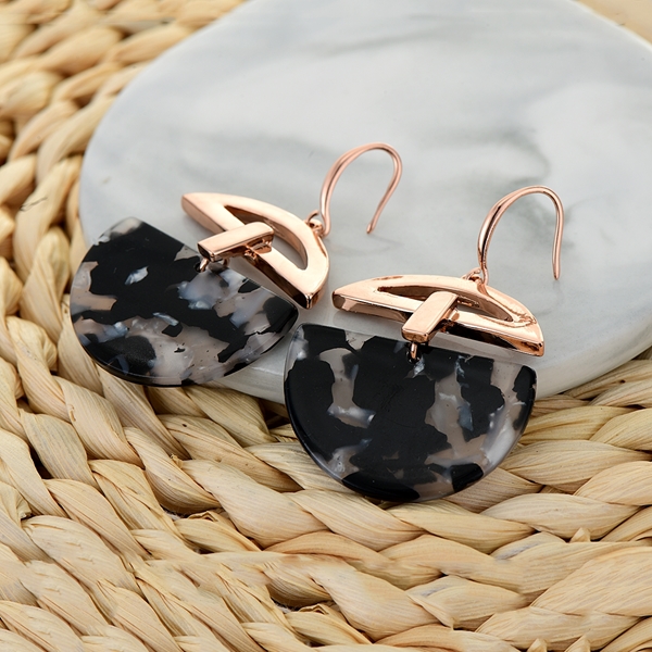 Picture of Classic Resin Dangle Earrings with Fast Shipping