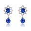 Show details for Best Selling Big Luxury Dangle Earrings