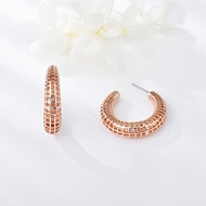 Picture of Popular Medium Zinc Alloy Stud Earrings