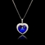 Show details for Nice Swarovski Element Small Pendant Necklace