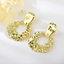 Show details for Hypoallergenic Gold Plated Zinc Alloy Dangle Earrings with Easy Return