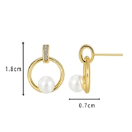 Picture of Designer Gold Plated Cubic Zirconia Dangle Earrings with 3~7 Day Delivery