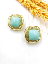Show details for Party Resin Clip On Earrings at Unbeatable Price