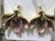 Picture of Low Price Simple Gold Plated Chandelier Earrings from Trust-worthy Supplier